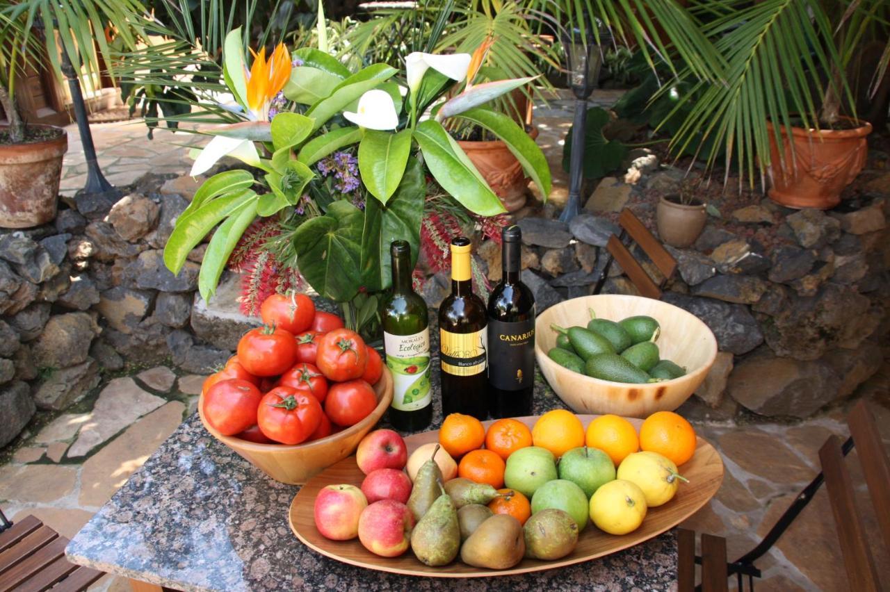 Cabana Ecologica 라오로타바 외부 사진
